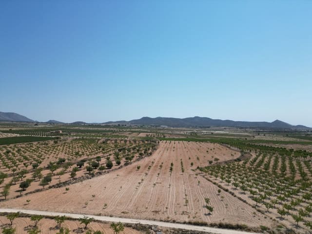 Grond te koop in Pinoso - € 66.500 (Ref: 9189723)