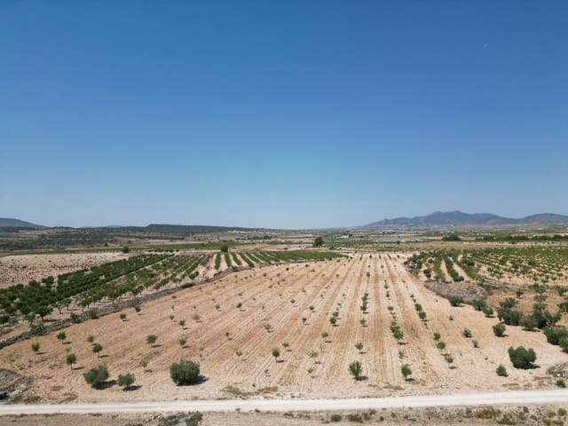 Grond te koop in Pinoso - € 66.500 (Ref: 9189723)