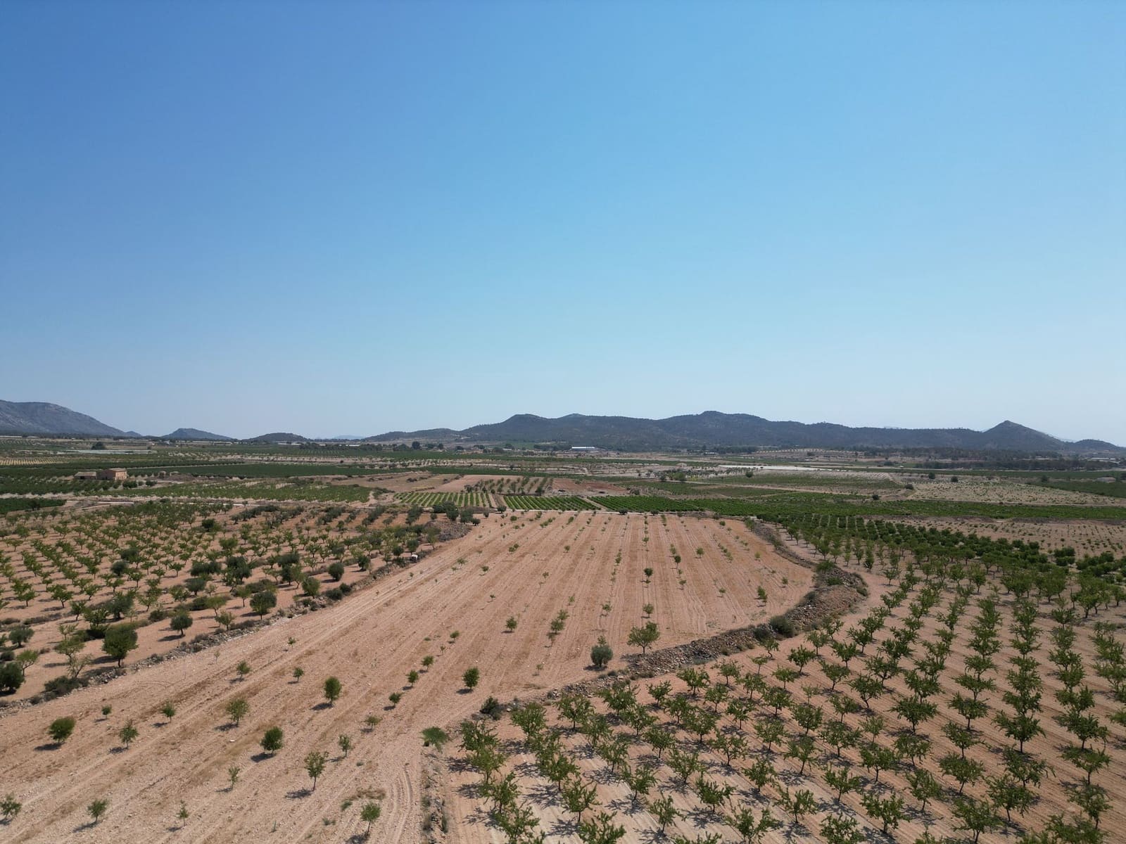 Grond te koop in Pinoso - € 66.500 (Ref: 9189723)