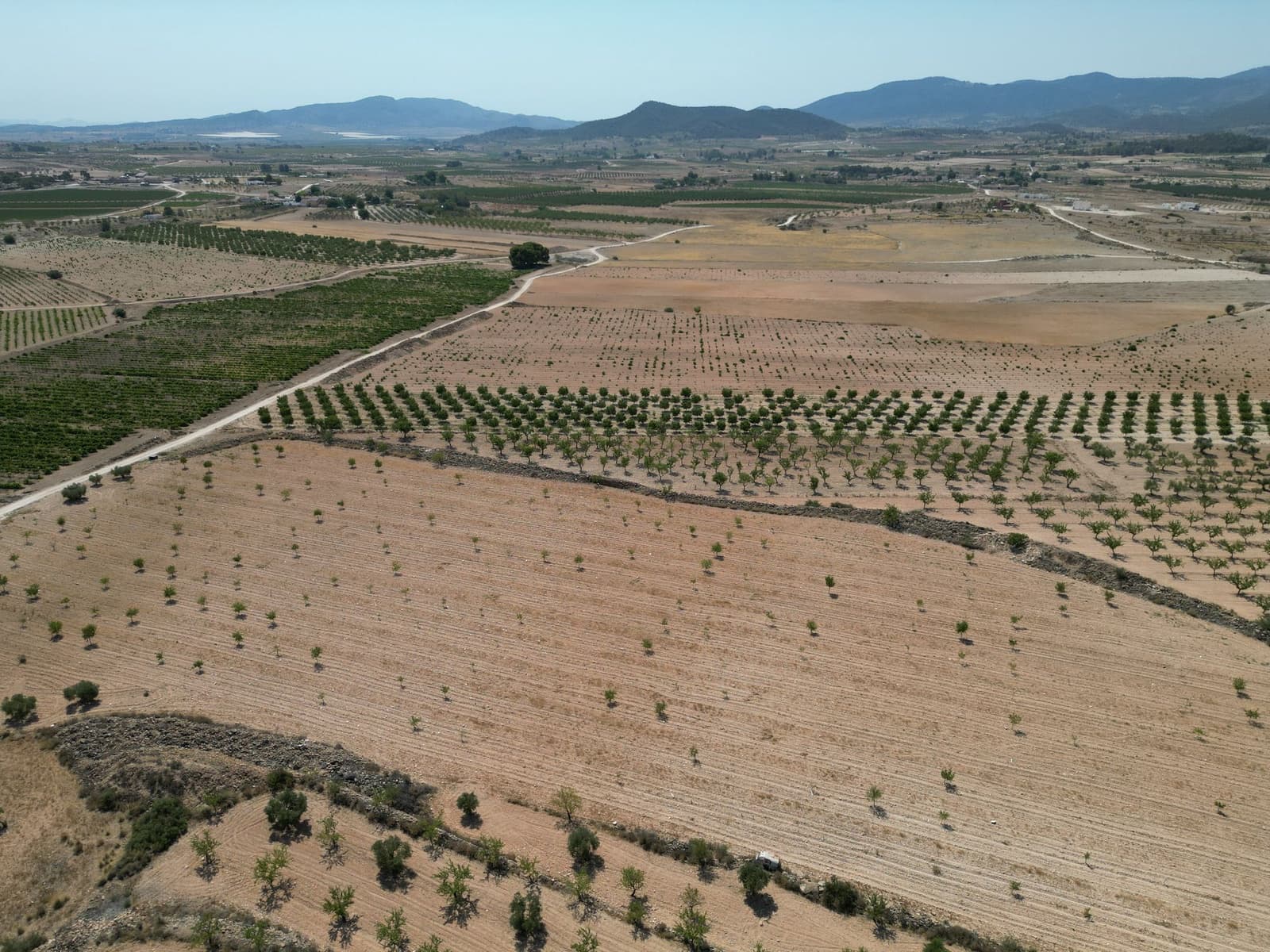 Grond te koop in Pinoso - € 66.500 (Ref: 9189723)