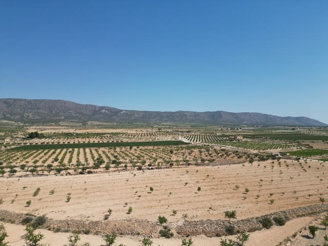 Grond te koop in Pinoso - € 66.500 (Ref: 9189723)