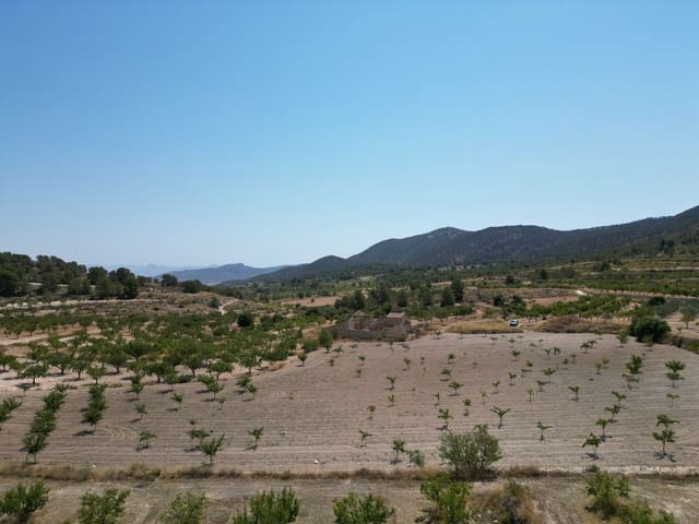 Mark till salu i Monóvar / Monóver - 59 950 € (Ref: 9189724)