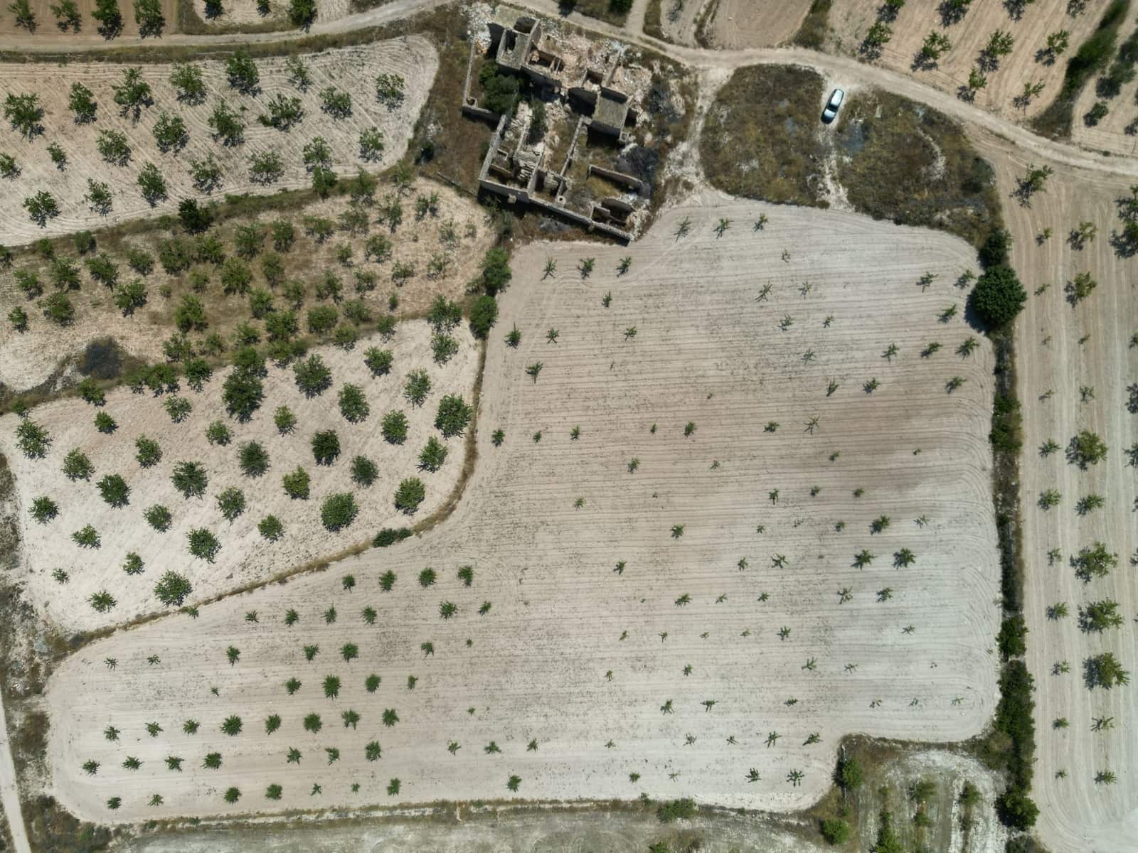 Grunde uden byggetilladelser til salg i Monovar / Monover - € 59.950 (Ref: 9189724)