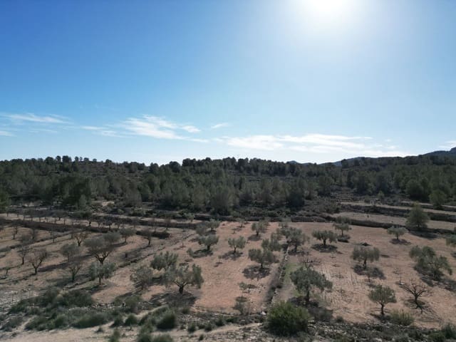 Mark till salu i Monóvar / Monóver - 170 000 € (Ref: 9189726)