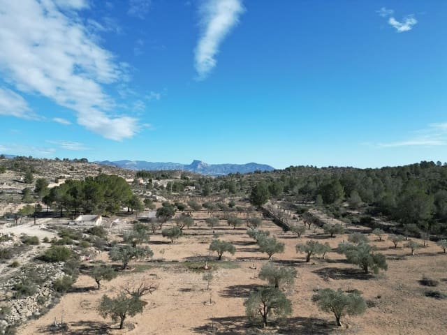 Mark till salu i Monóvar / Monóver - 170 000 € (Ref: 9189726)