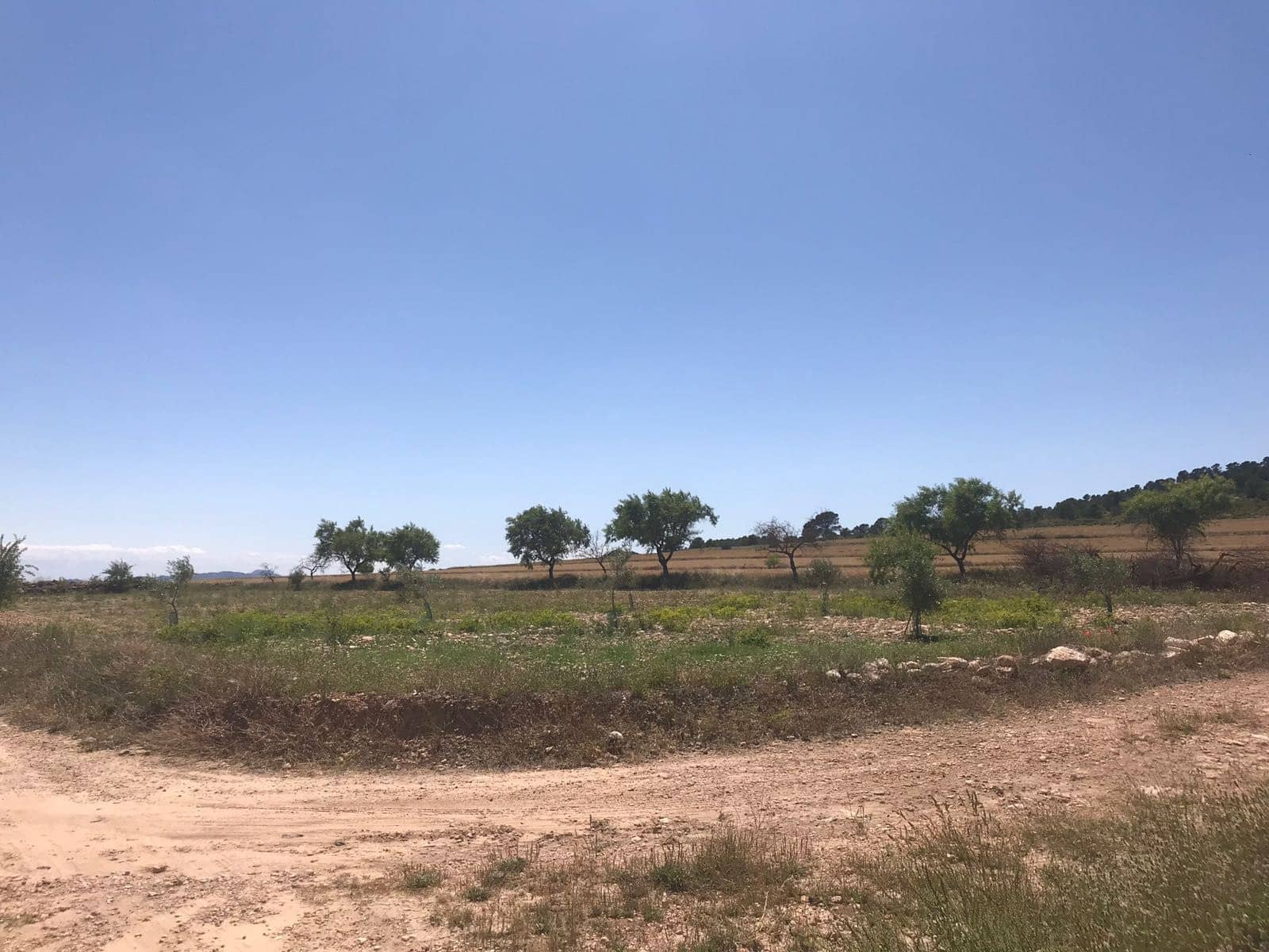 8 soverom Finca/Herregård til salgs i Yecla - € 390 000 (Ref: 9191378)