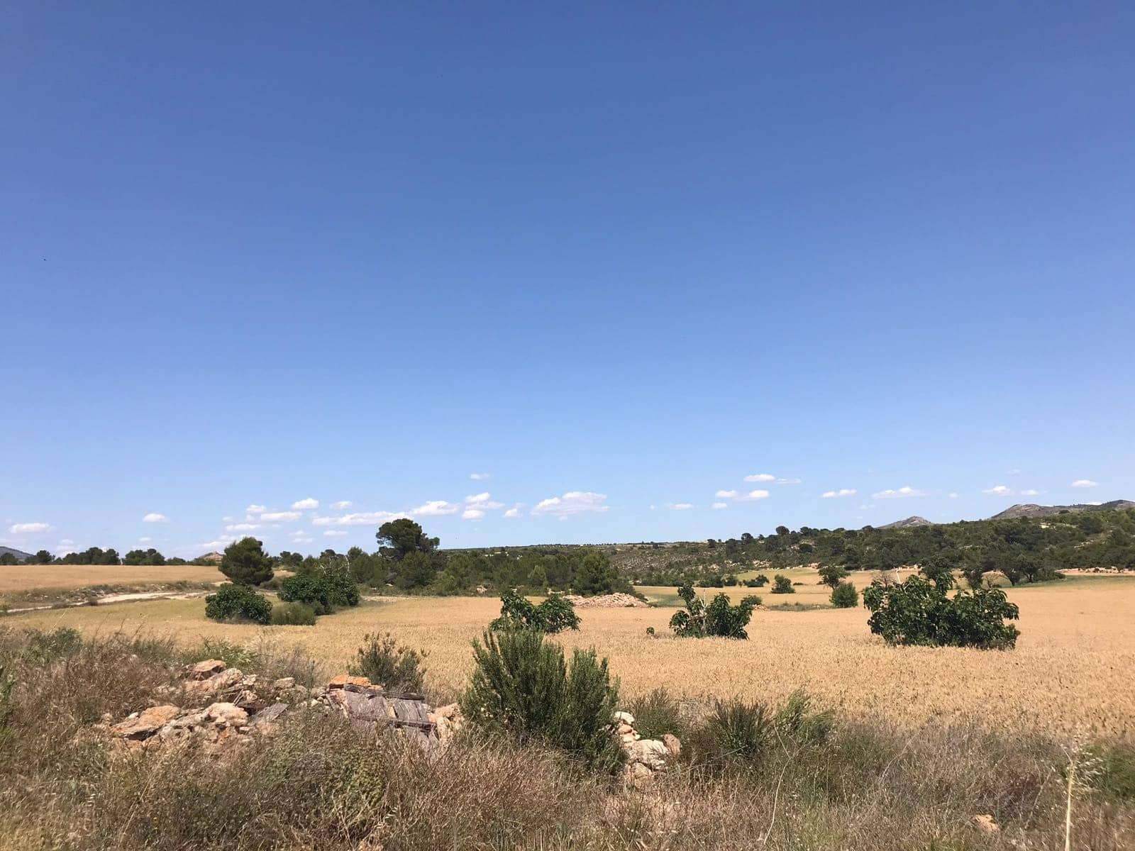 8 soverom Finca/Herregård til salgs i Yecla - € 390 000 (Ref: 9191378)