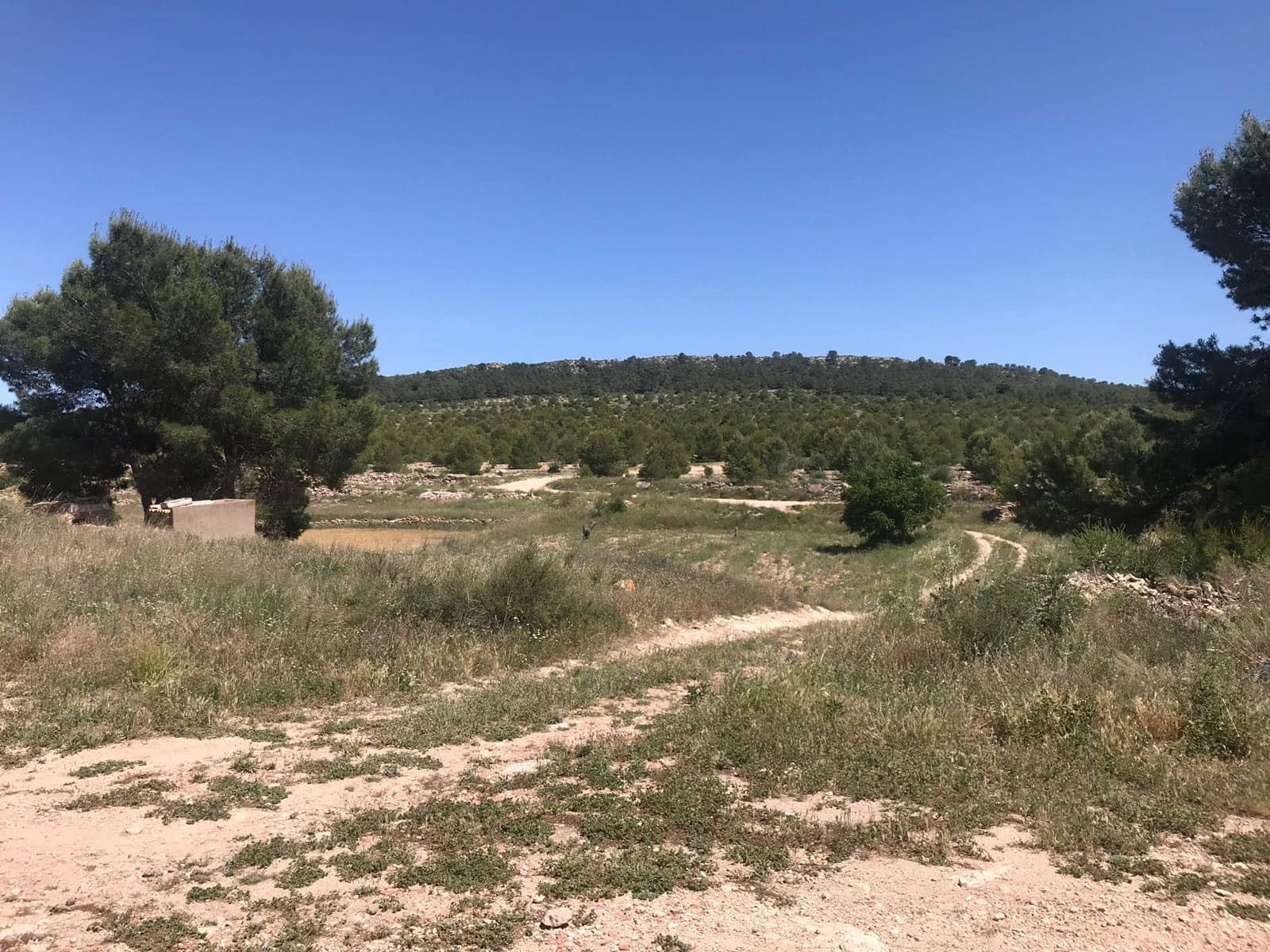 8 soverom Finca/Herregård til salgs i Yecla - € 390 000 (Ref: 9191378)