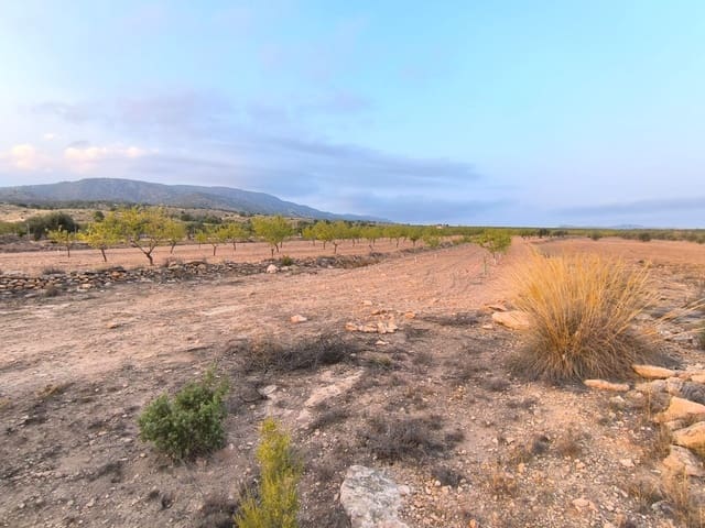 Landgrundstück zu verkaufen in Pinoso - 31.990 € (Ref: 9193449)