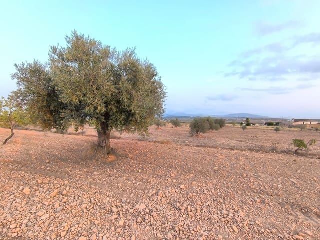 Landgrundstück zu verkaufen in Pinoso - 31.990 € (Ref: 9193449)