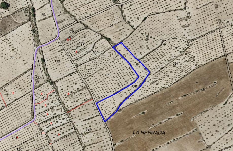 Undeveloped Land for sale in Pinoso - € 25,000 (Ref: 9193450)