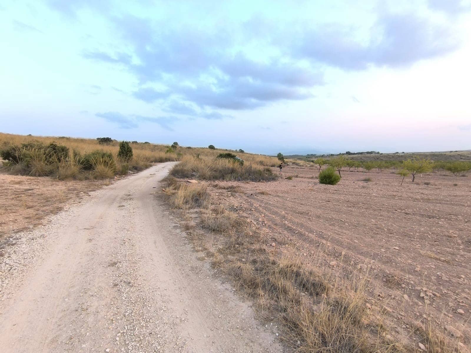 Mark till salu i Pinoso - 23 990 € (Ref: 9193451)