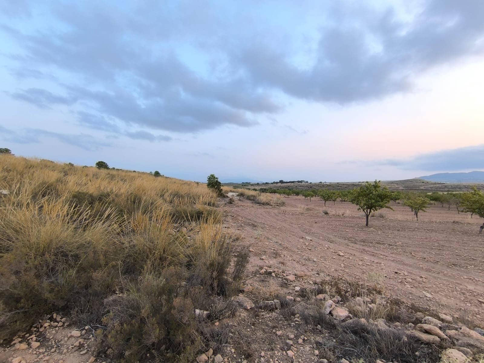 Mark till salu i Pinoso - 23 990 € (Ref: 9193451)