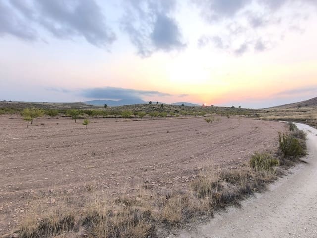Undeveloped Land for sale in Pinoso - € 23,990 (Ref: 9193451)