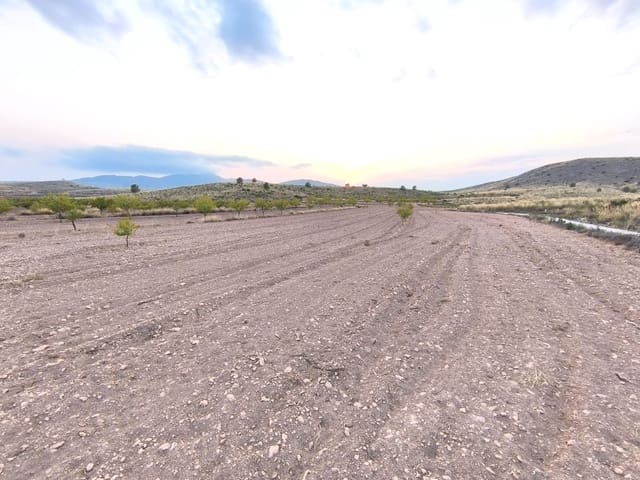 Undeveloped Land for sale in Pinoso - € 23,990 (Ref: 9193451)