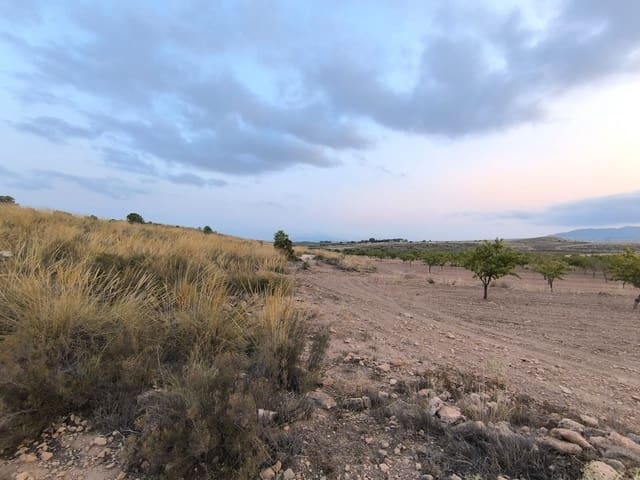 Mark till salu i Pinoso - 23 990 € (Ref: 9193451)