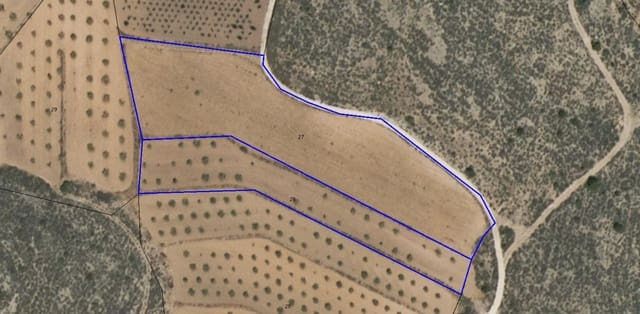 Undeveloped Land for sale in Pinoso - € 23,990 (Ref: 9193451)