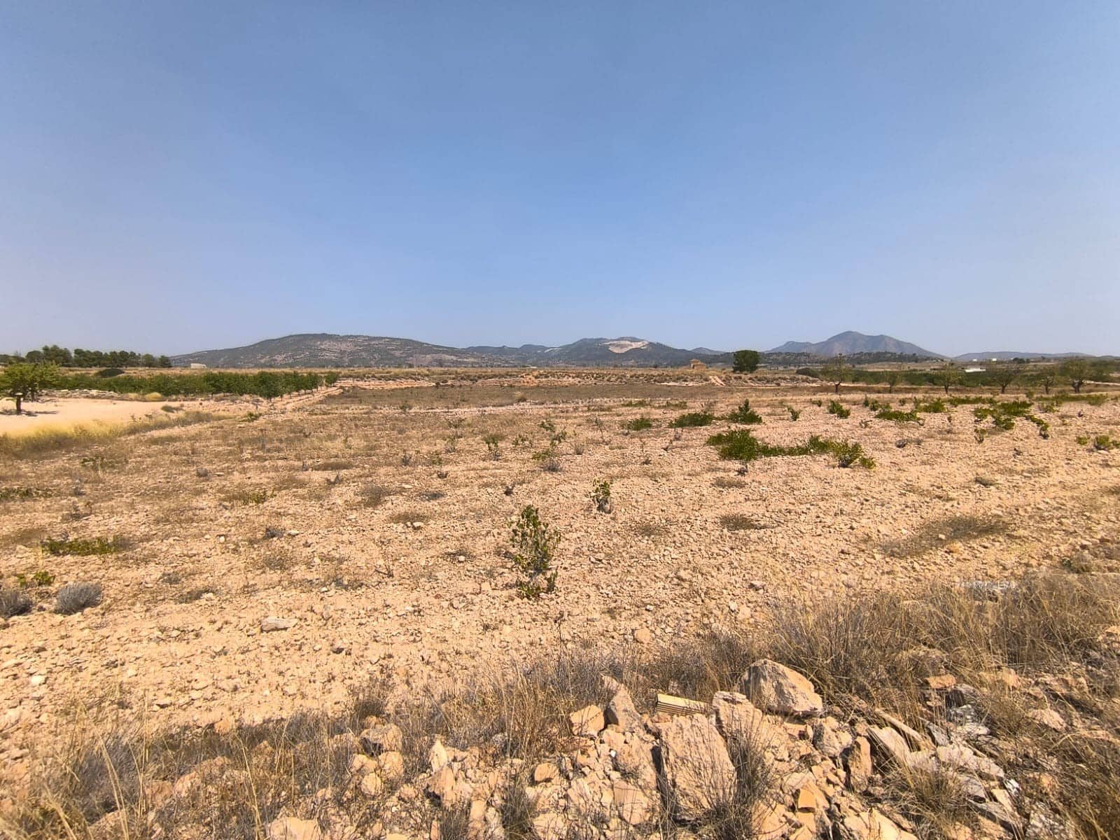 Mark till salu i Pinoso - 42 995 € (Ref: 9199780)