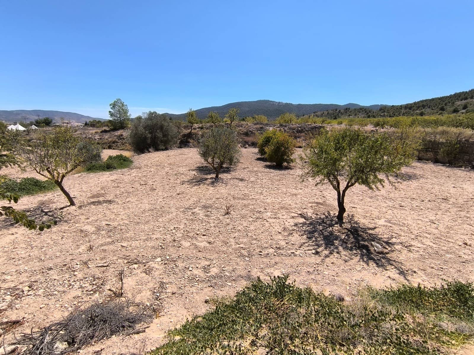 Ruin til salg i Chinorlet / Xinorlet - € 70.000 (Ref: 9202038)