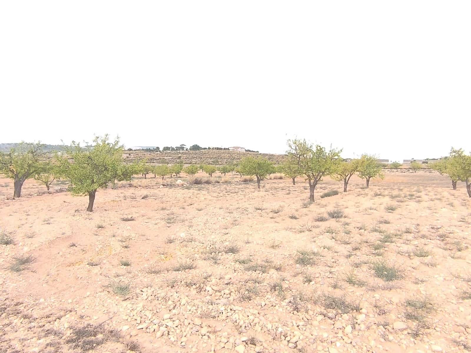 Rakentamaton maa myytävänä paikassa Pinoso - 75 995 € (Ref: 9205483)