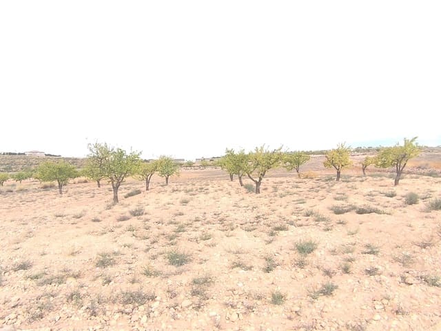 Grond te koop in Pinoso - € 75.995 (Ref: 9205483)