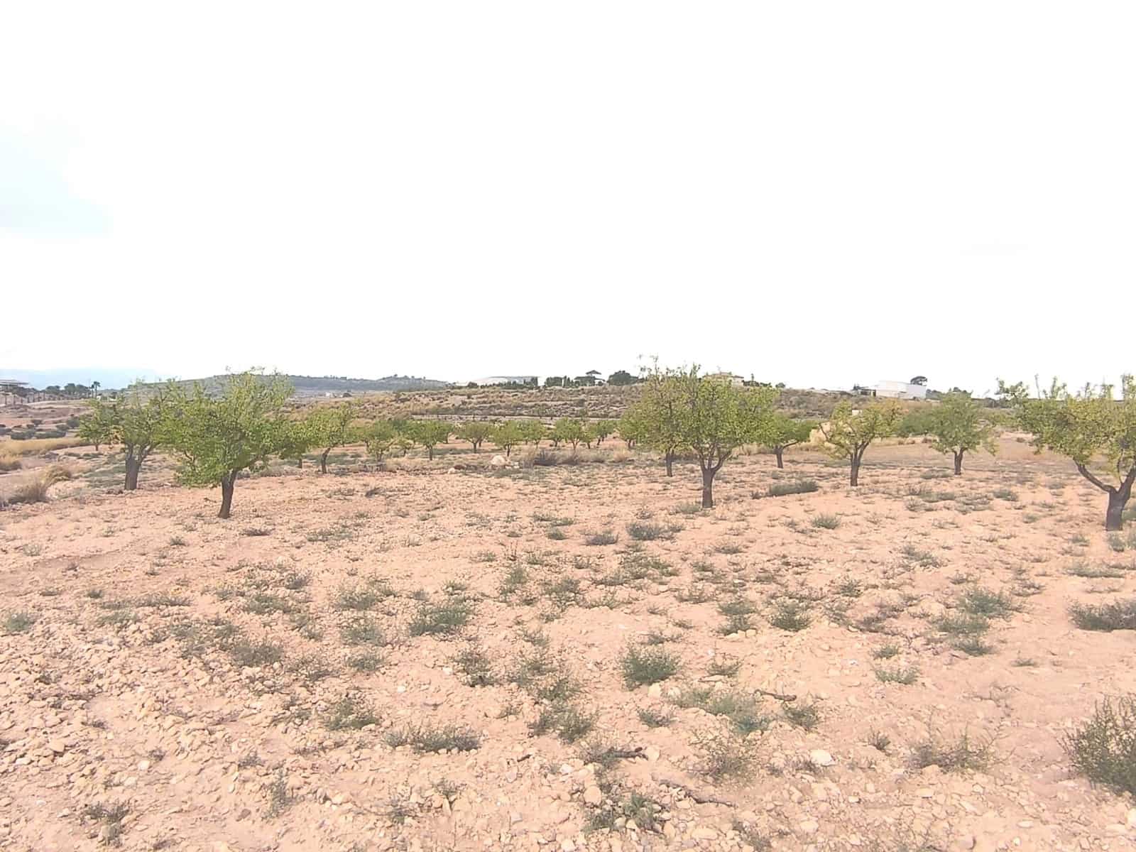 Rakentamaton maa myytävänä paikassa Pinoso - 75 995 € (Ref: 9205483)