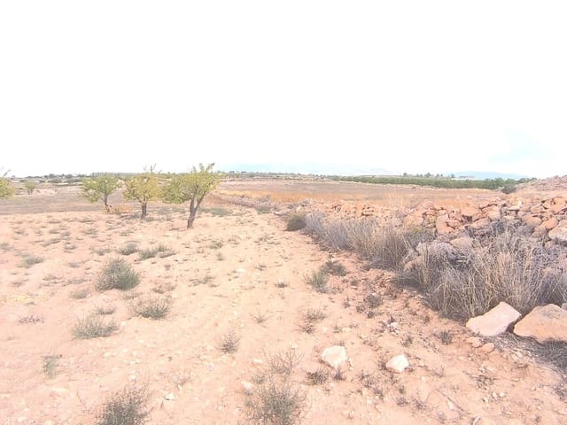 Terreno Não Urbanizado para venda em Pinoso - 75 995 € (Ref: 9205483)