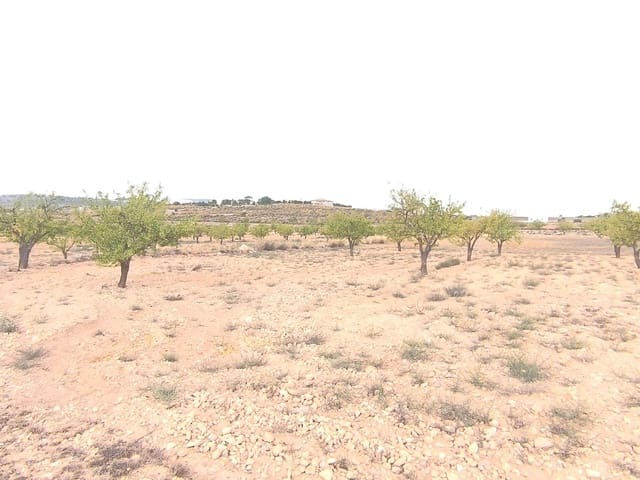 Terreno Não Urbanizado para venda em Pinoso - 75 995 € (Ref: 9205483)