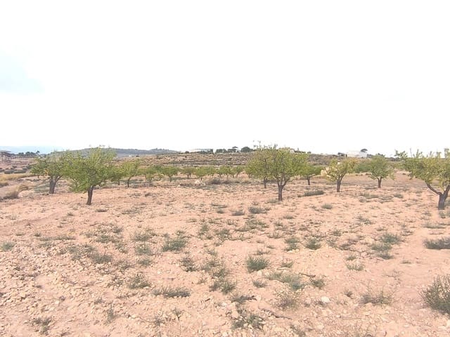 Terreno Não Urbanizado para venda em Pinoso - 75 995 € (Ref: 9205483)