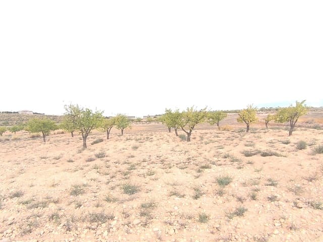 Terreno Não Urbanizado para venda em Pinoso - 75 995 € (Ref: 9205483)