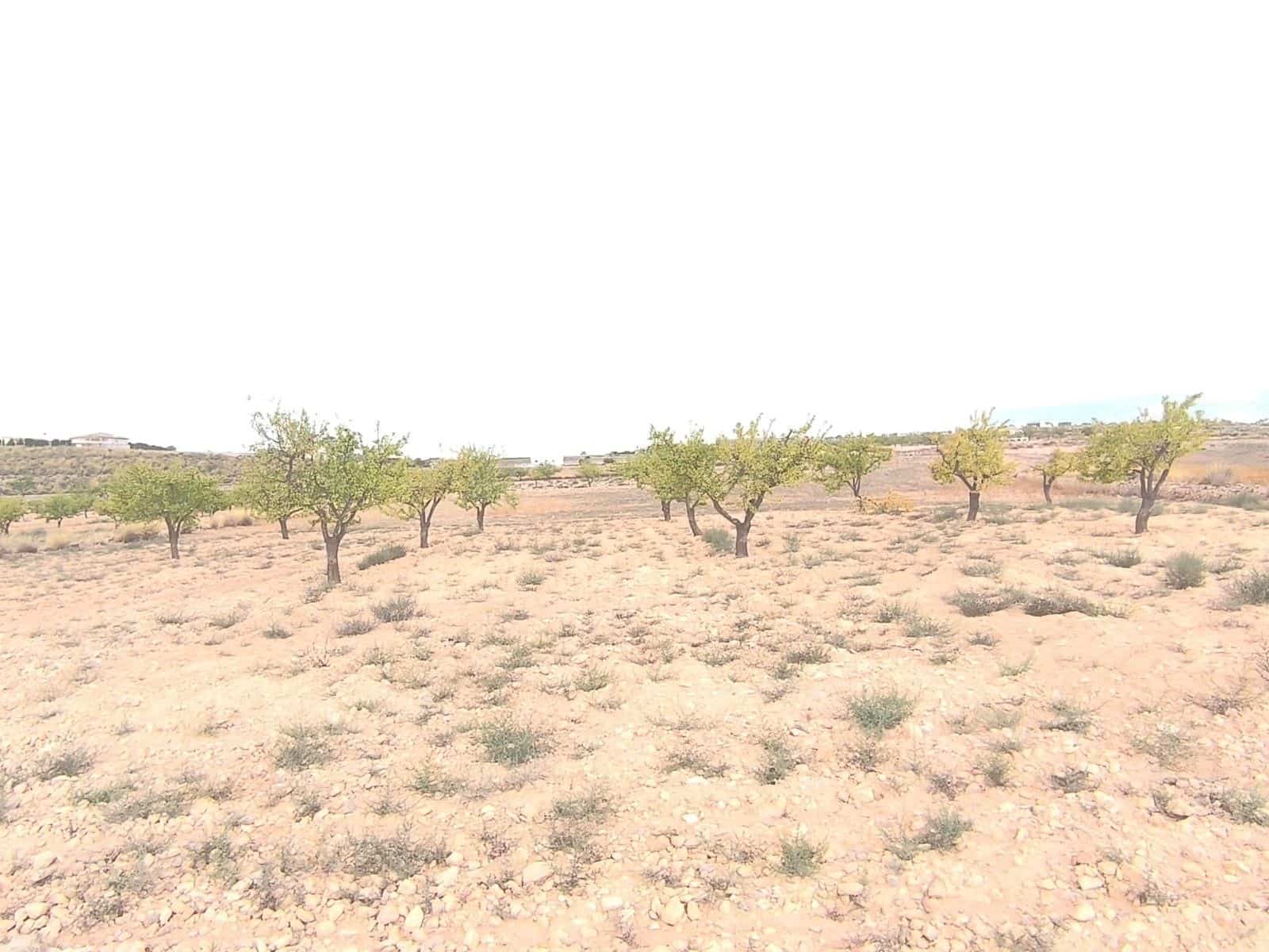 Undeveloped Land for sale in Pinoso - € 75,995 (Ref: 9205483)