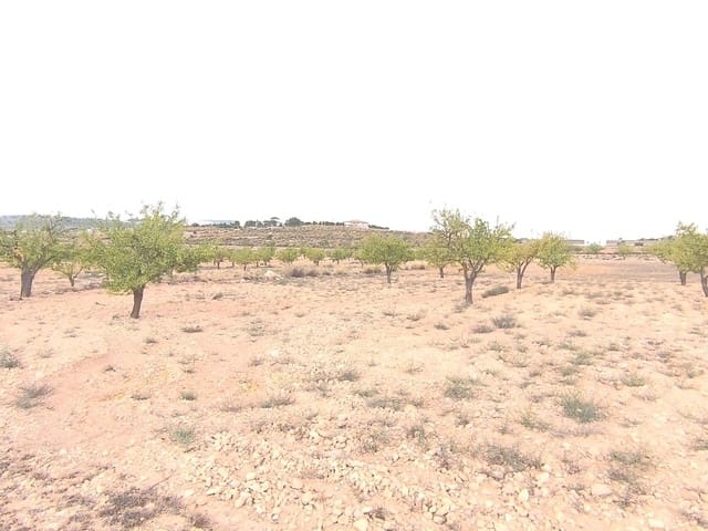 Mark till salu i Pinoso - 75 995 € (Ref: 9205483)