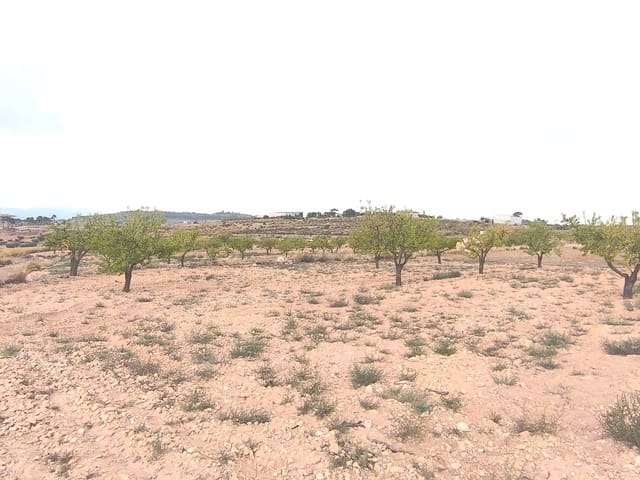 Terreno Non Edificato in vendita in Pinoso - 75.995 € (Rif: 9205483)