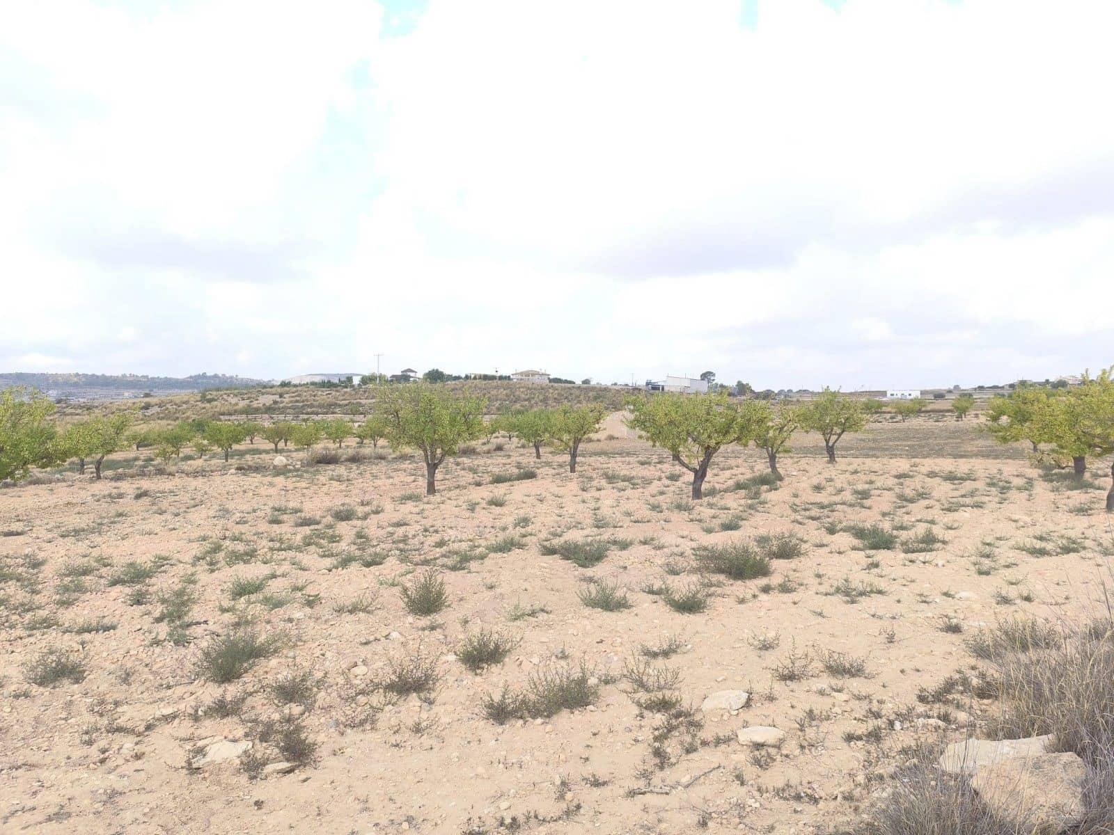 Undeveloped Land for sale in Pinoso - € 75,995 (Ref: 9205483)