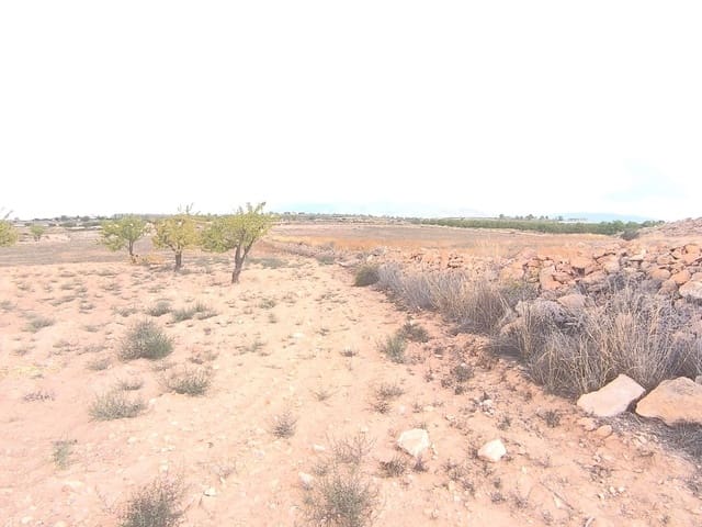 Terreno Non Edificato in vendita in Pinoso - 75.995 € (Rif: 9205483)