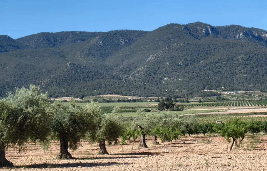 2 chambre Finca/Maison de Campagne à vendre à Yecla avec garage - 79 990 € (Ref: 9207970)