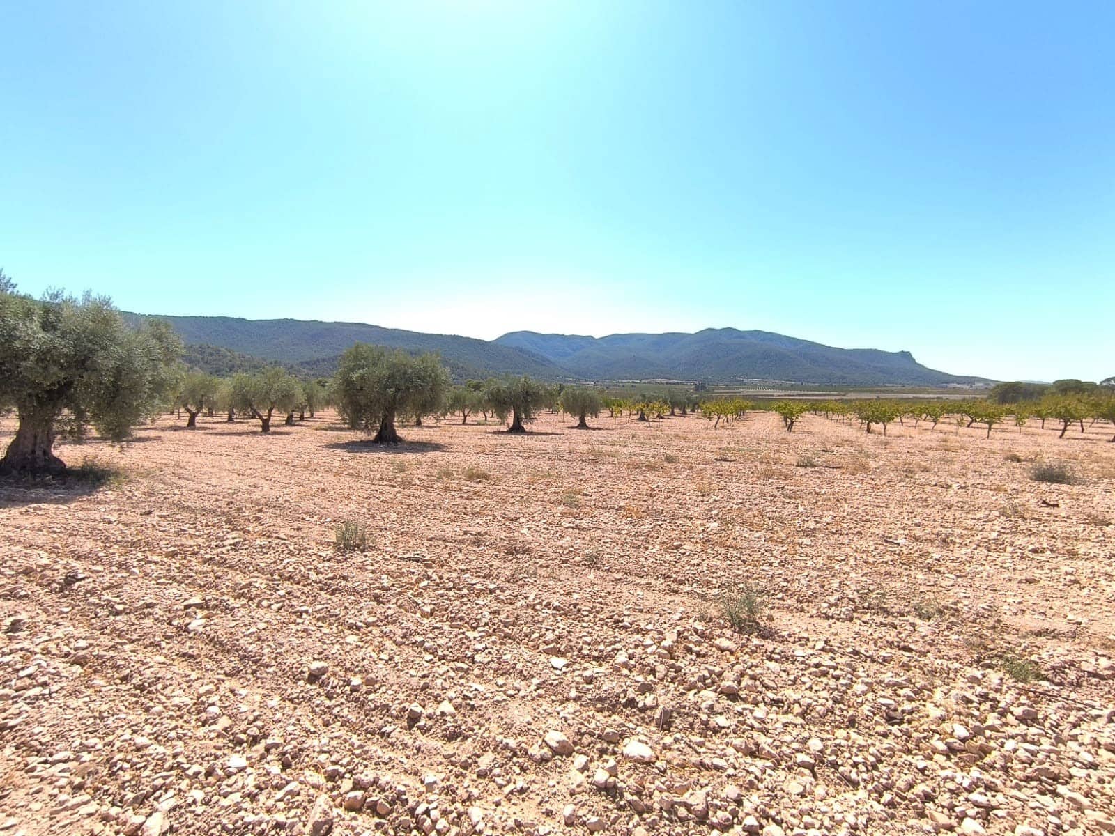 2 chambre Finca/Maison de Campagne à vendre à Yecla avec garage - 79 990 € (Ref: 9207970)