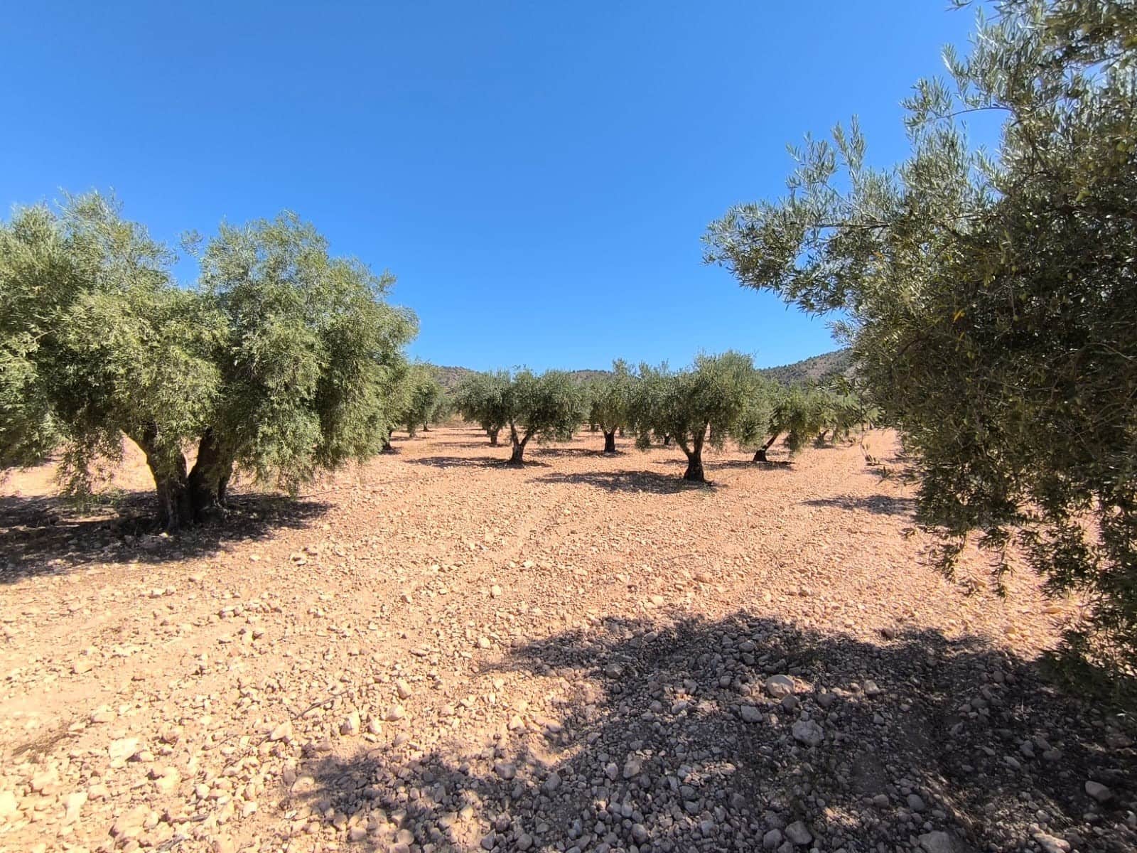 2 chambre Finca/Maison de Campagne à vendre à Yecla avec garage - 79 990 € (Ref: 9207970)