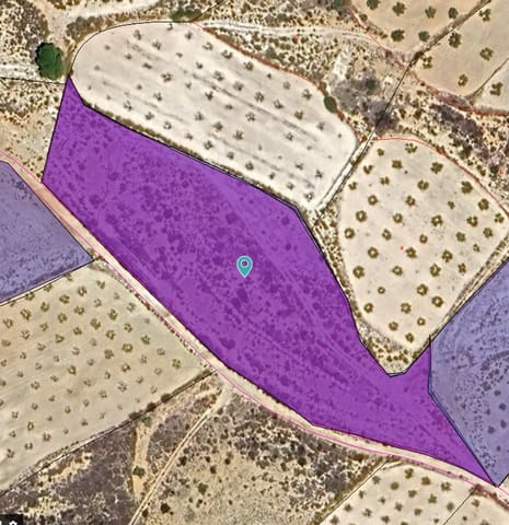 Undeveloped Land for sale in Jumilla - € 13,000 (Ref: 9216375)