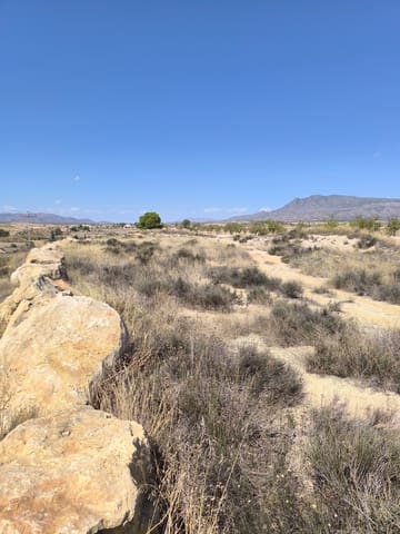 Undeveloped Land for sale in Jumilla - € 13,000 (Ref: 9216375)