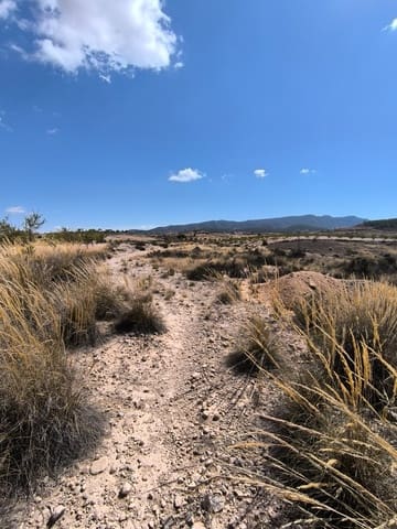 Undeveloped Land for sale in Jumilla - € 13,000 (Ref: 9216375)