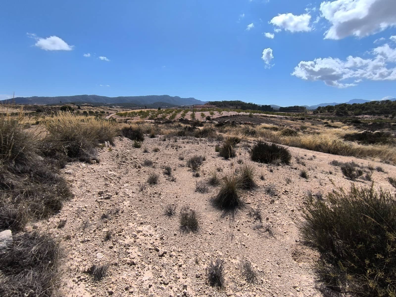 Grond te koop in Jumilla - € 13.000 (Ref: 9216375)