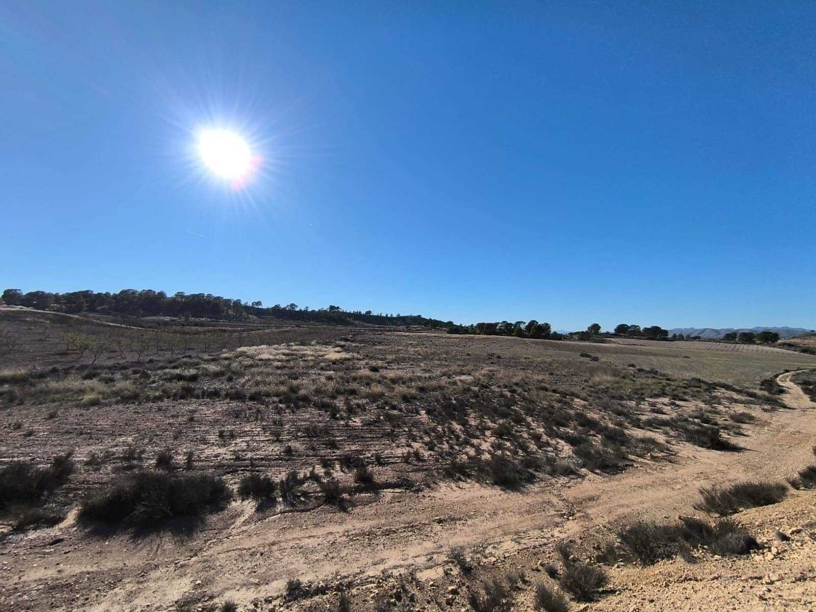 Landgrundstück zu verkaufen in Jumilla - 18.995 € (Ref: 9216375)