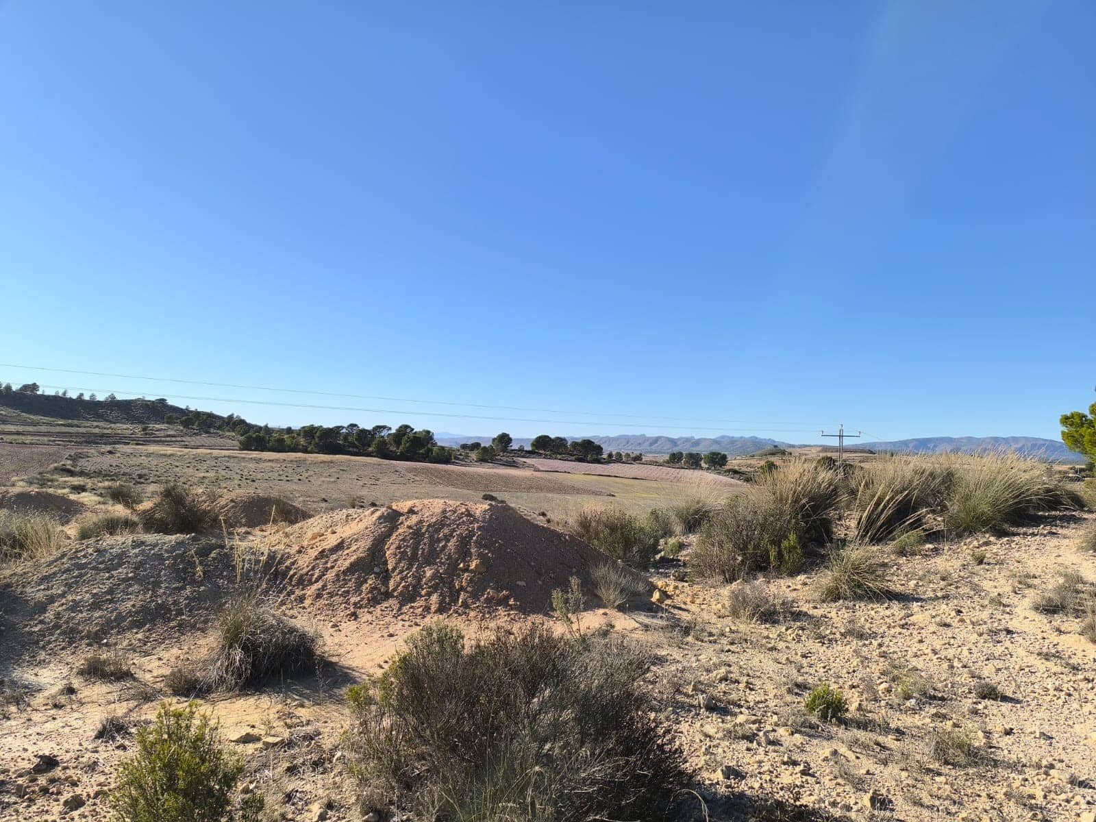 Landgrundstück zu verkaufen in Jumilla - 18.995 € (Ref: 9216375)