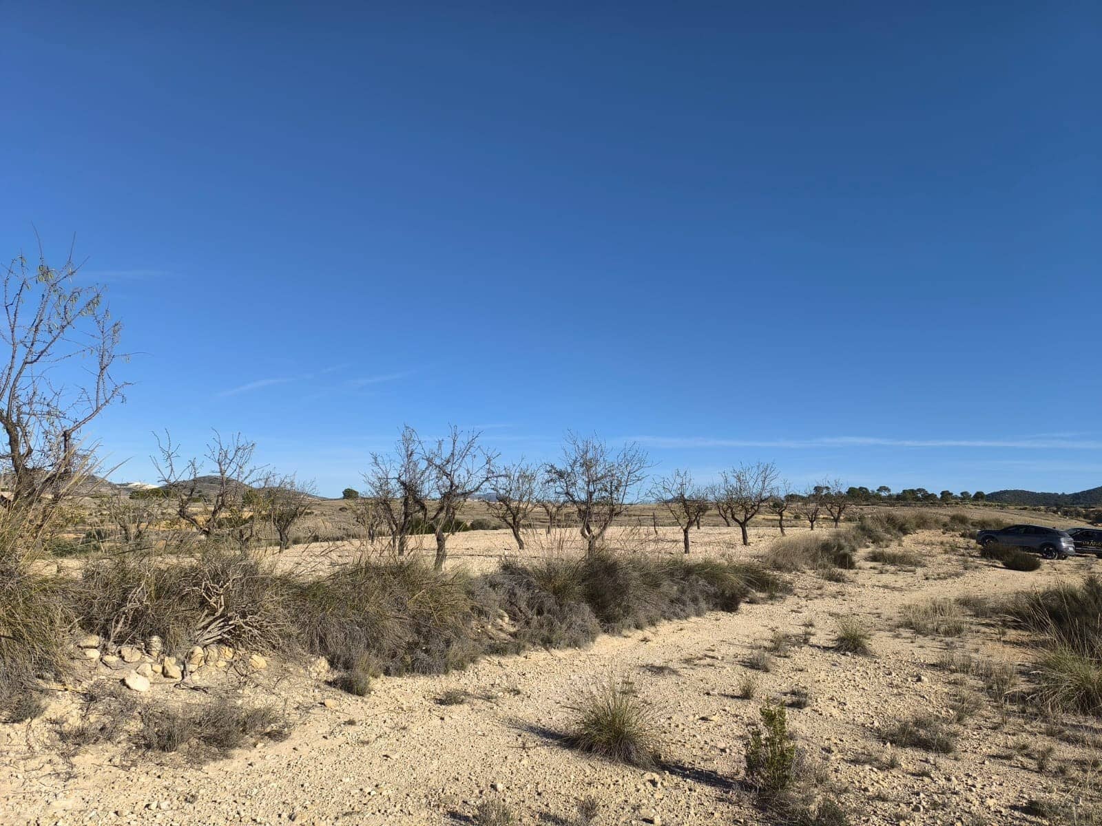 Landgrundstück zu verkaufen in Jumilla - 18.995 € (Ref: 9216375)