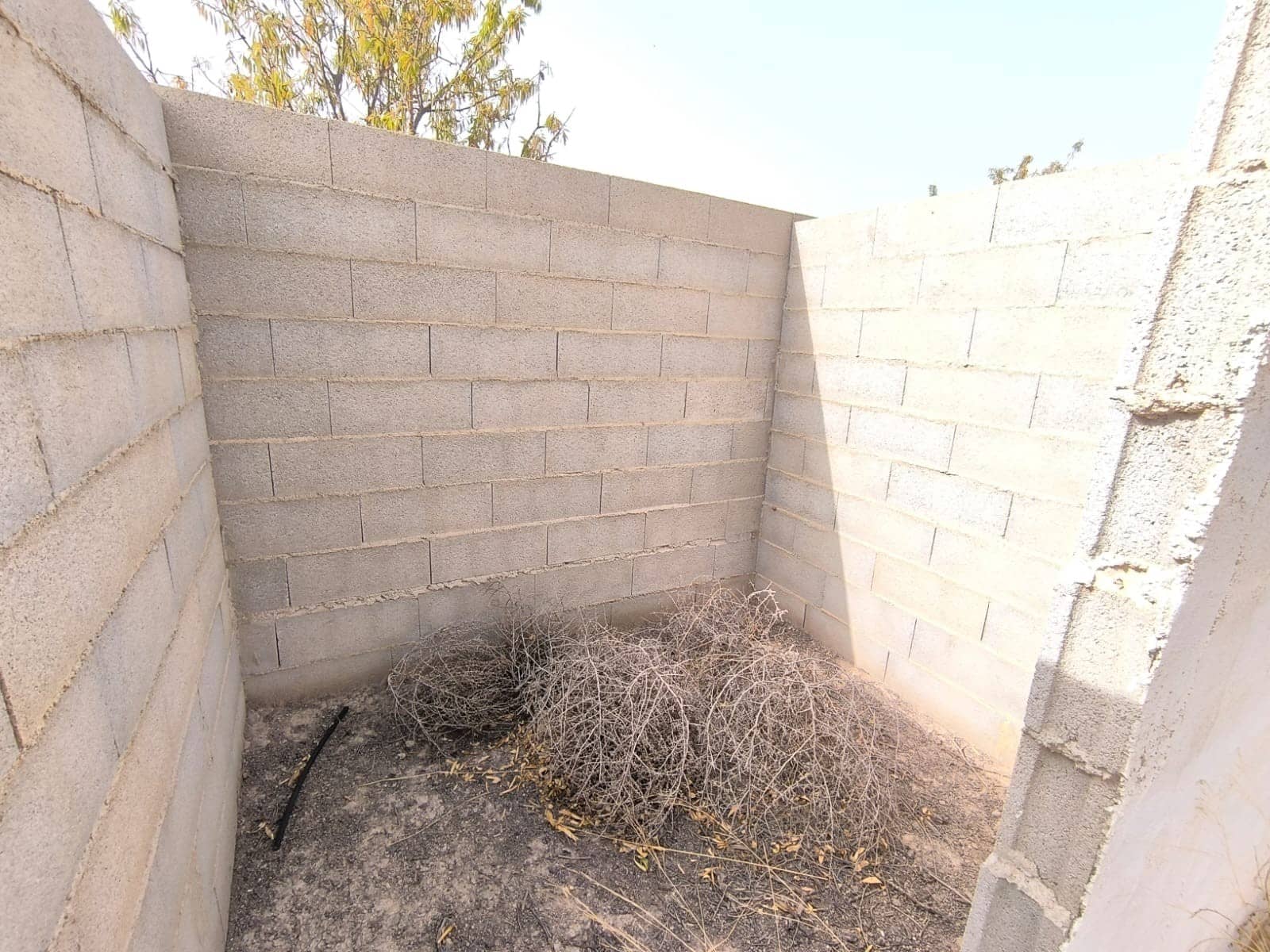 Grunde uden byggetilladelser til salg i Yecla - € 39.995 (Ref: 9216942)