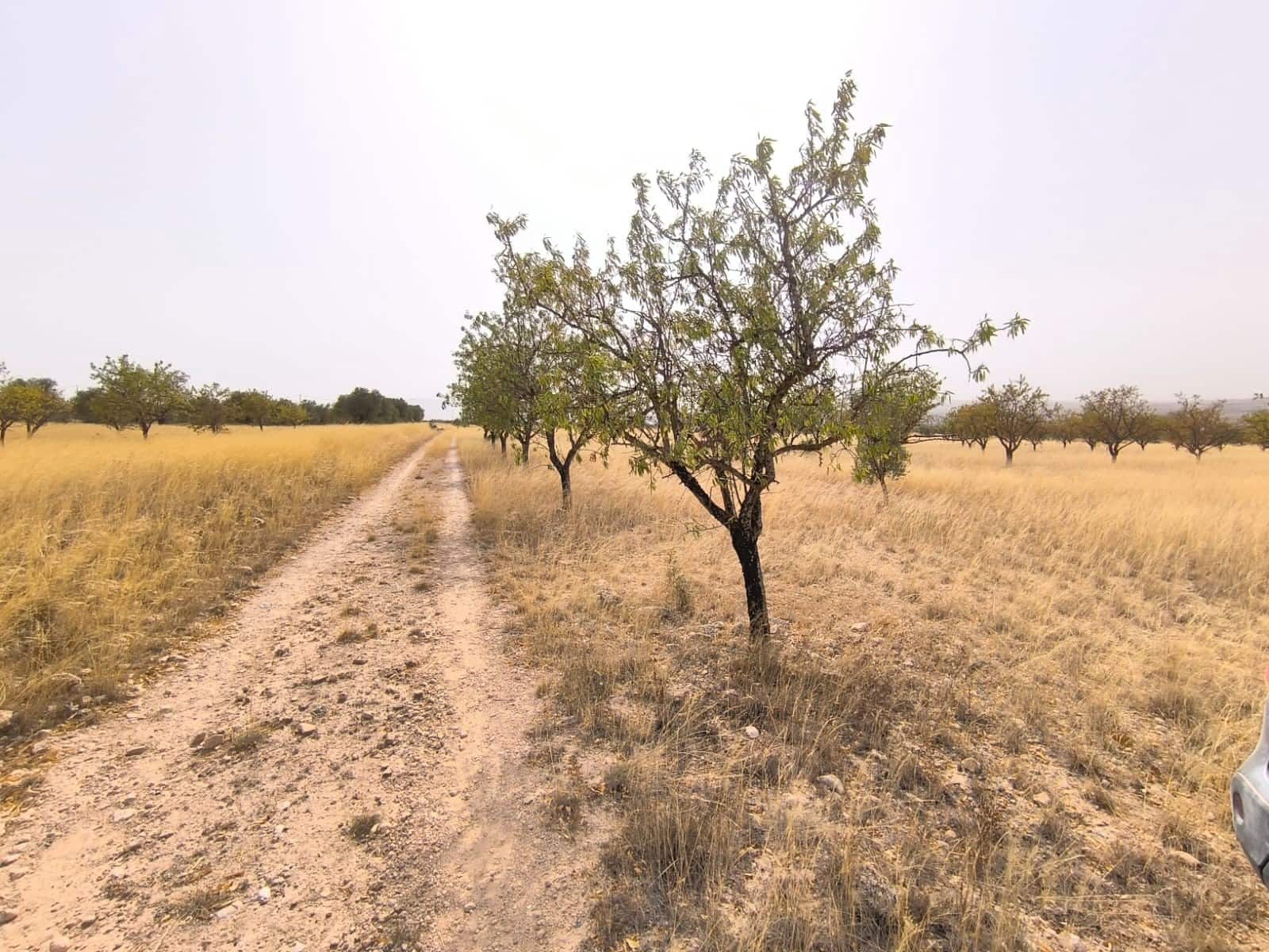 Grunde uden byggetilladelser til salg i Yecla - € 39.995 (Ref: 9216942)