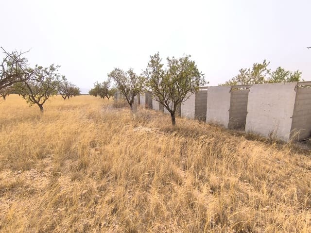 Undeveloped Land for sale in Yecla - € 39,995 (Ref: 9216942)