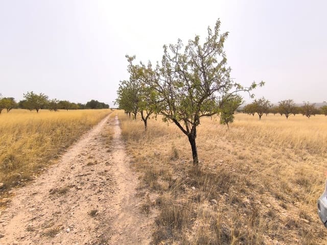 Undeveloped Land for sale in Yecla - € 39,995 (Ref: 9216942)