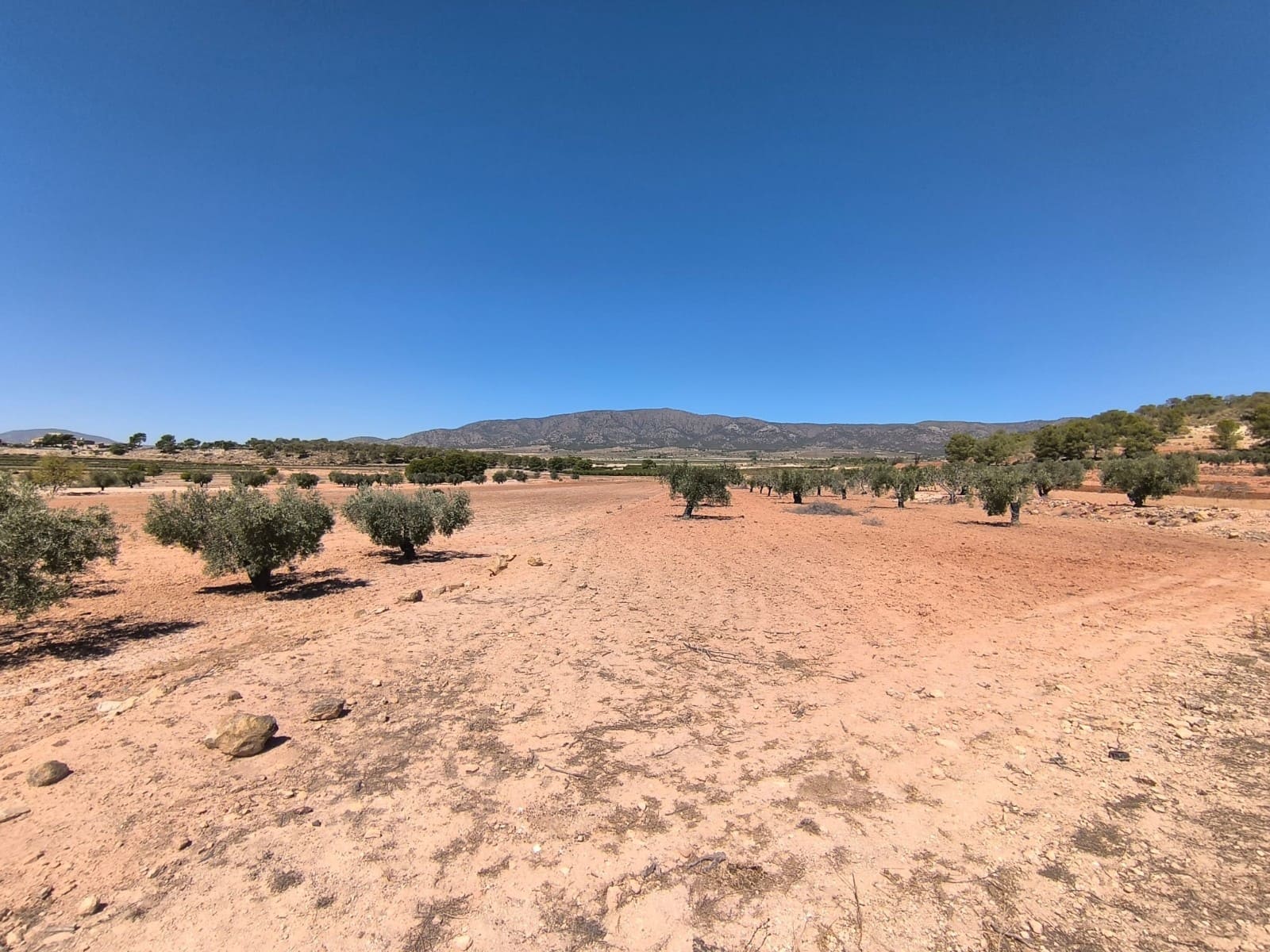 Terreno Non Edificato in vendita in Monovar / Monover - 28.990 € (Rif: 9216943)
